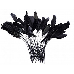 Pene decorative cocoș, lungime 13-18 cm, (pachet 50 buc.) - negru