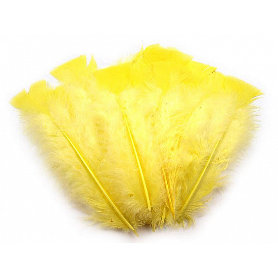Pene decorative de curcă, lungime 11-17 cm (pachet 20 buc.) - galben
