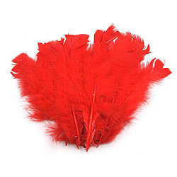 Pene decorative de curcă, lungime 11-17 cm (pachet 20 buc.) - roșu scarlet