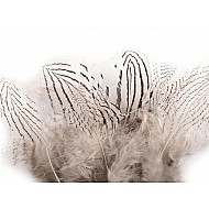 Pene decorative de fazan, lungime 5 - 11 cm (pachet 20 buc.) - alb