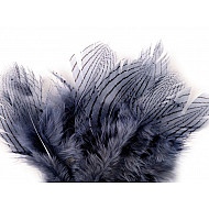 Pene decorative de fazan, lungime 5 - 11 cm (pachet 20 buc.) - albastru - fumuriu