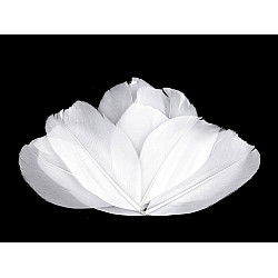 Pene decorative de gâscă, lungime 5-7 cm (pachet 10 buc.) - alb