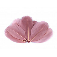 Pene decorative de gâscă, lungime 5-7 cm (pachet 10 buc.) - roz antic