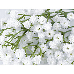 Floarea miresei artificială, alb