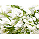 Floarea miresei artificială, alb