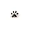 Brooch - animal paw - White (1 Piece)