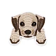 Embroidered iron-on patch dog - Brown (1 Piece)