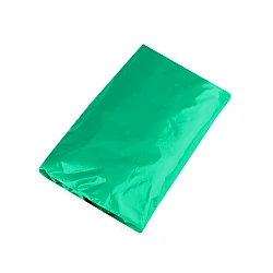 Adult raincoat - Emerald green (1 Piece)