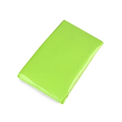 Adult raincoat - Green apple (1 Piece)