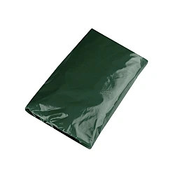 Adult raincoat - Green moss (1 Piece)