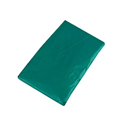 Adult raincoat - Pine green (1 Piece)