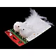 Bird with clip for christmas arrangement - White (2 Pieces)