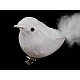 Bird with clip for christmas arrangement - White (2 Pieces)