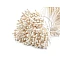 Artificial flower pistils / stamens - Cream lightest (1 Bunch)