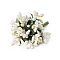 Floral / florist pistils on wire - Cream lightest (12 Pieces)