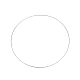 Lacquered metal circle hoop ø60 cm - Silver (1 Piece)