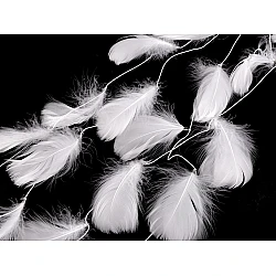 Feathers on a string / garland - White (3 Meters)