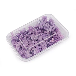 Dried / preserved hydrangeas for floral arrangements - Violet lilac (1 Box)