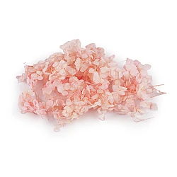Dried / preserved hydrangeas for floral arrangements - Powder (1 Box)