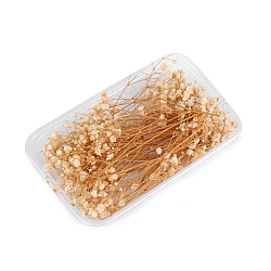 Dried / preserved baby's breath for floral arrangements - Ivory (1 Box)