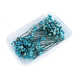 Dried / preserved baby's breath for floral arrangements - Blue turquise (1 Box)