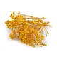 Dried / preserved baby's breath for floral arrangements - Ivory (1 Box)