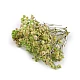 Dried / preserved baby's breath for floral arrangements - Ivory (1 Box)