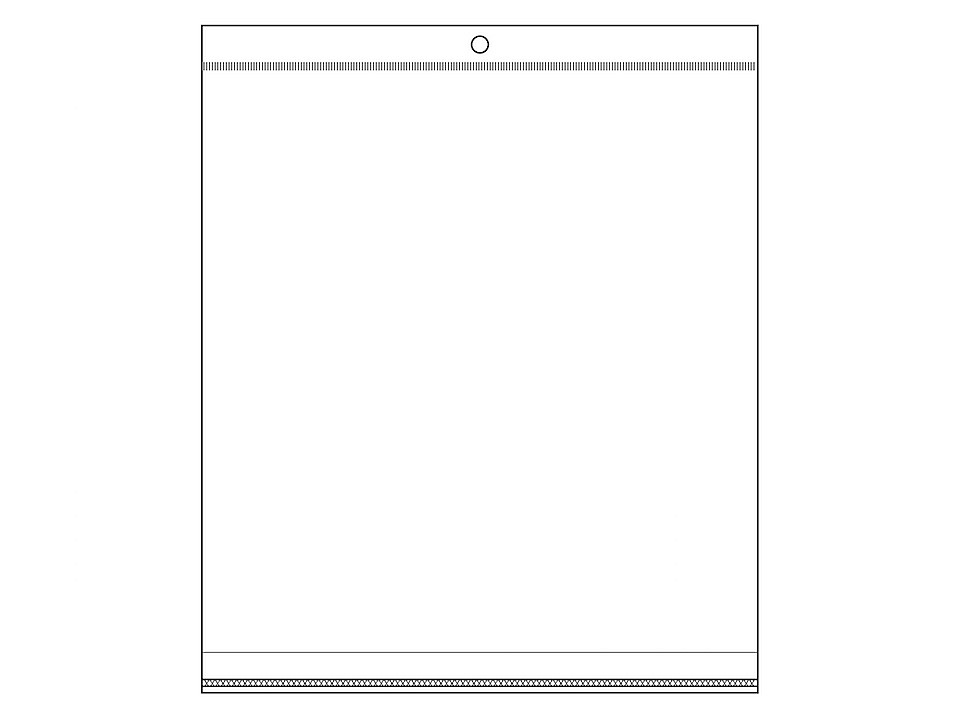 Clear plastic self-adhesive seal bags w/ hang hole 20x24 cm - Transparent (100 Pieces)