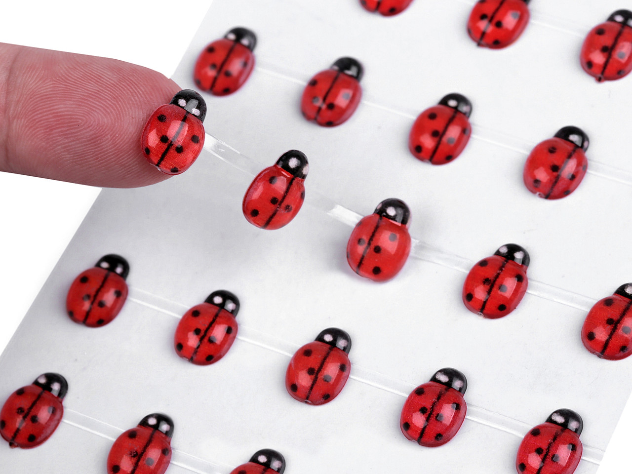 Self-adhesive ladybugs on an adhesive strip - Red (1 Card)