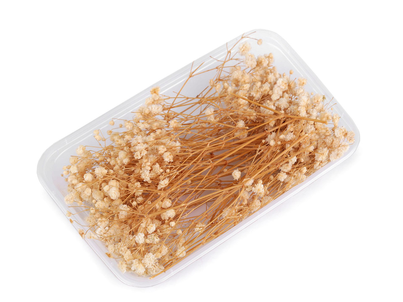 Dried / preserved baby's breath for floral arrangements - Ivory (1 Box)