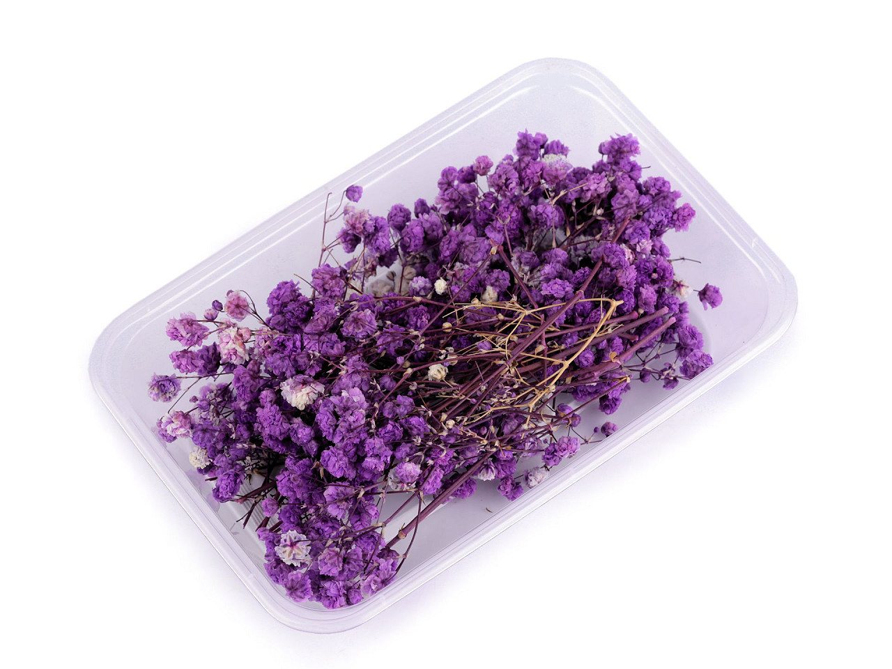 Dried / preserved baby's breath for floral arrangements - Ivory (1 Box)