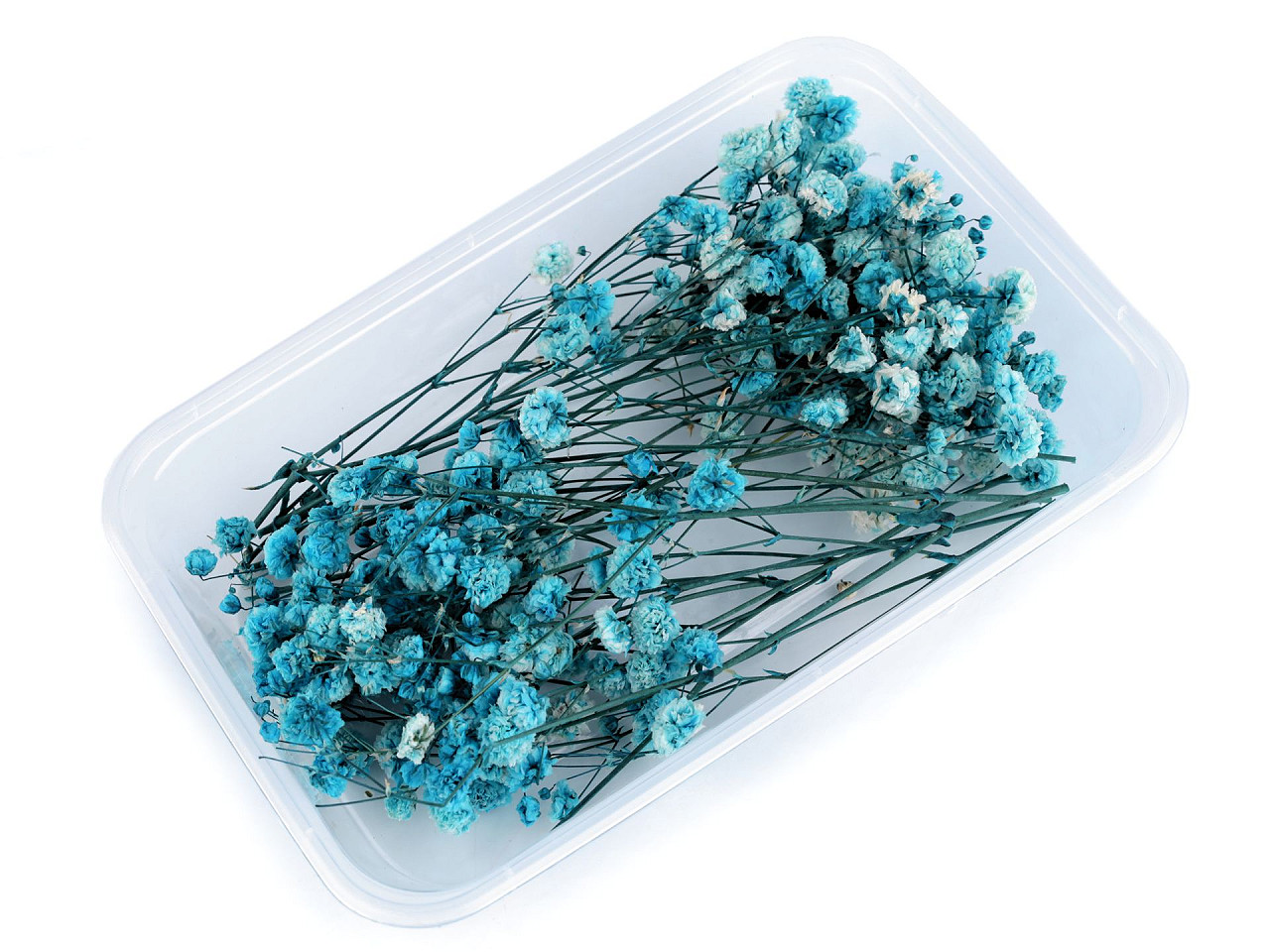 Dried / preserved baby's breath for floral arrangements - Ivory (1 Box)