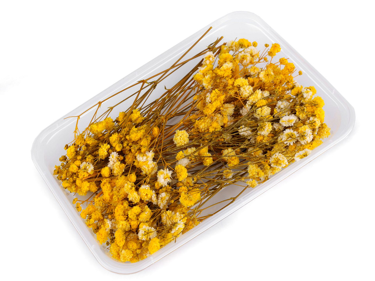 Dried / preserved baby's breath for floral arrangements - Ivory (1 Box)