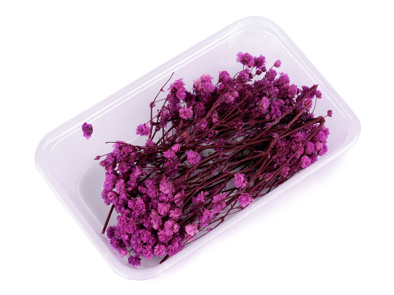 Dried / preserved baby's breath for floral arrangements - Ivory (1 Box)