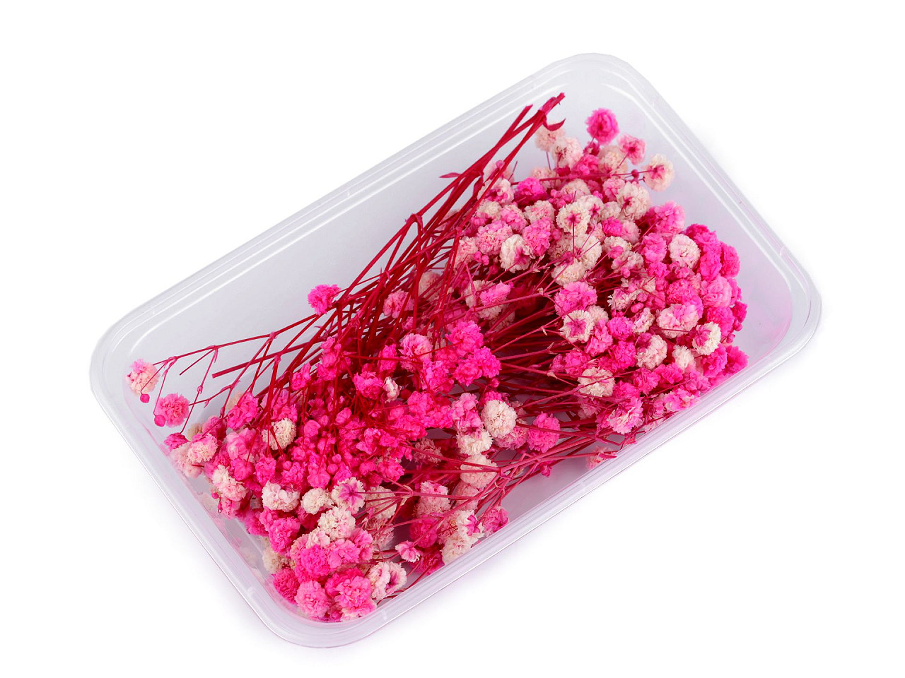 Dried / preserved baby's breath for floral arrangements - Ivory (1 Box)