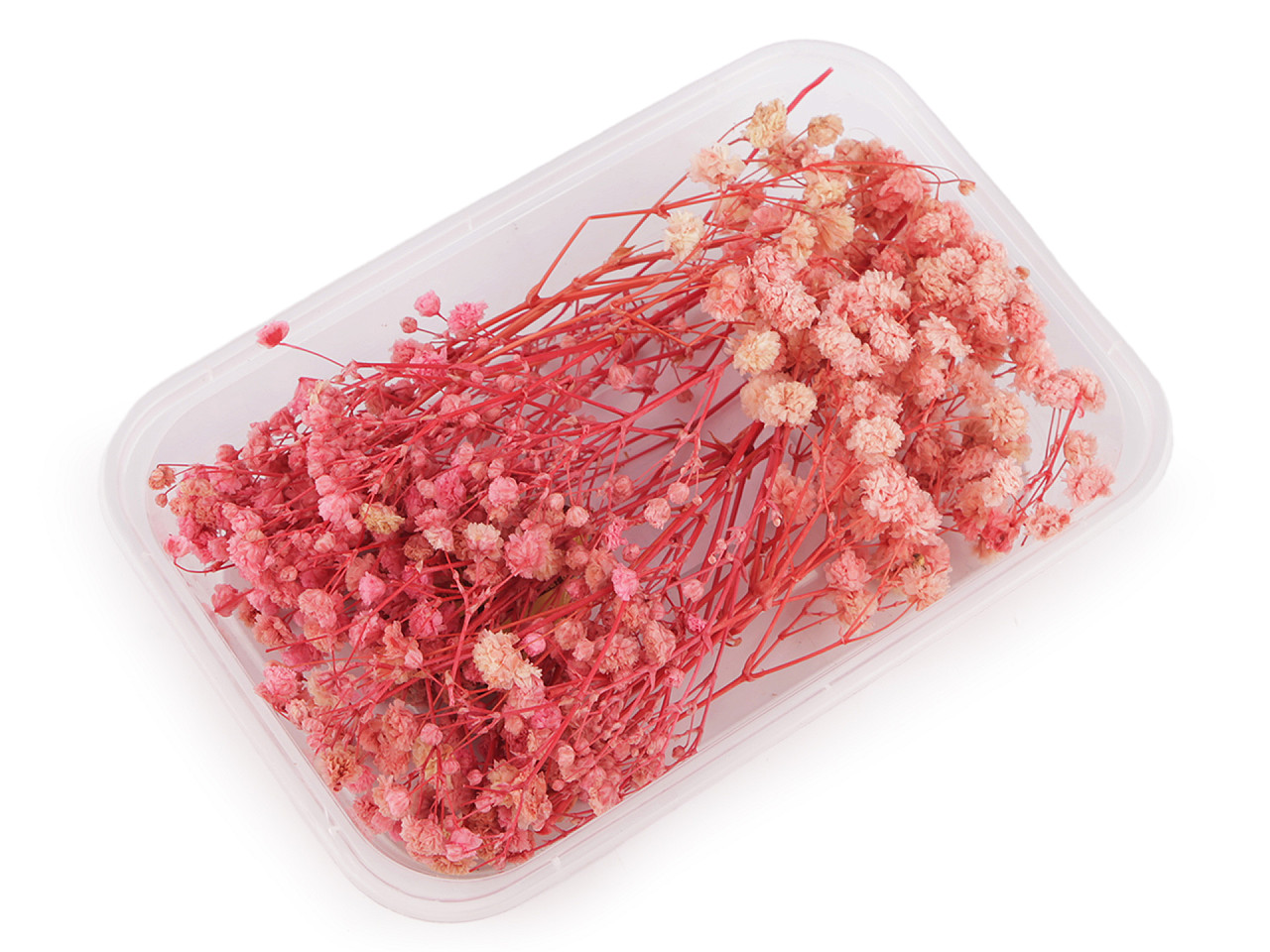 Dried / preserved baby's breath for floral arrangements - Ivory (1 Box)