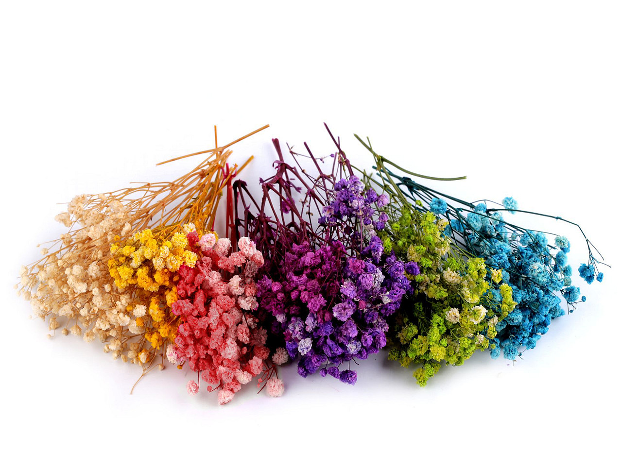 Dried / preserved baby's breath for floral arrangements - Ivory (1 Box)