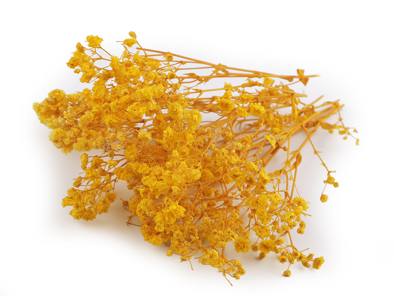 Dried / preserved baby's breath for floral arrangements - Ivory (1 Box)