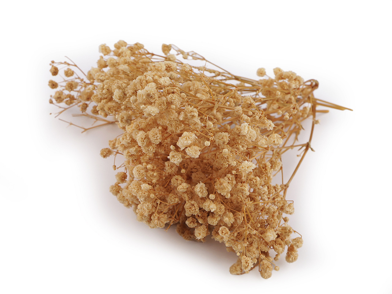 Dried / preserved baby's breath for floral arrangements - Ivory (1 Box)