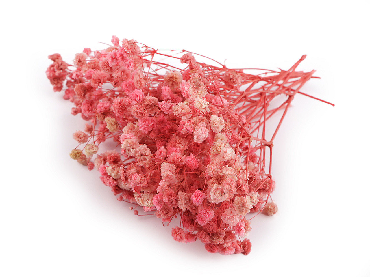 Dried / preserved baby's breath for floral arrangements - Ivory (1 Box)