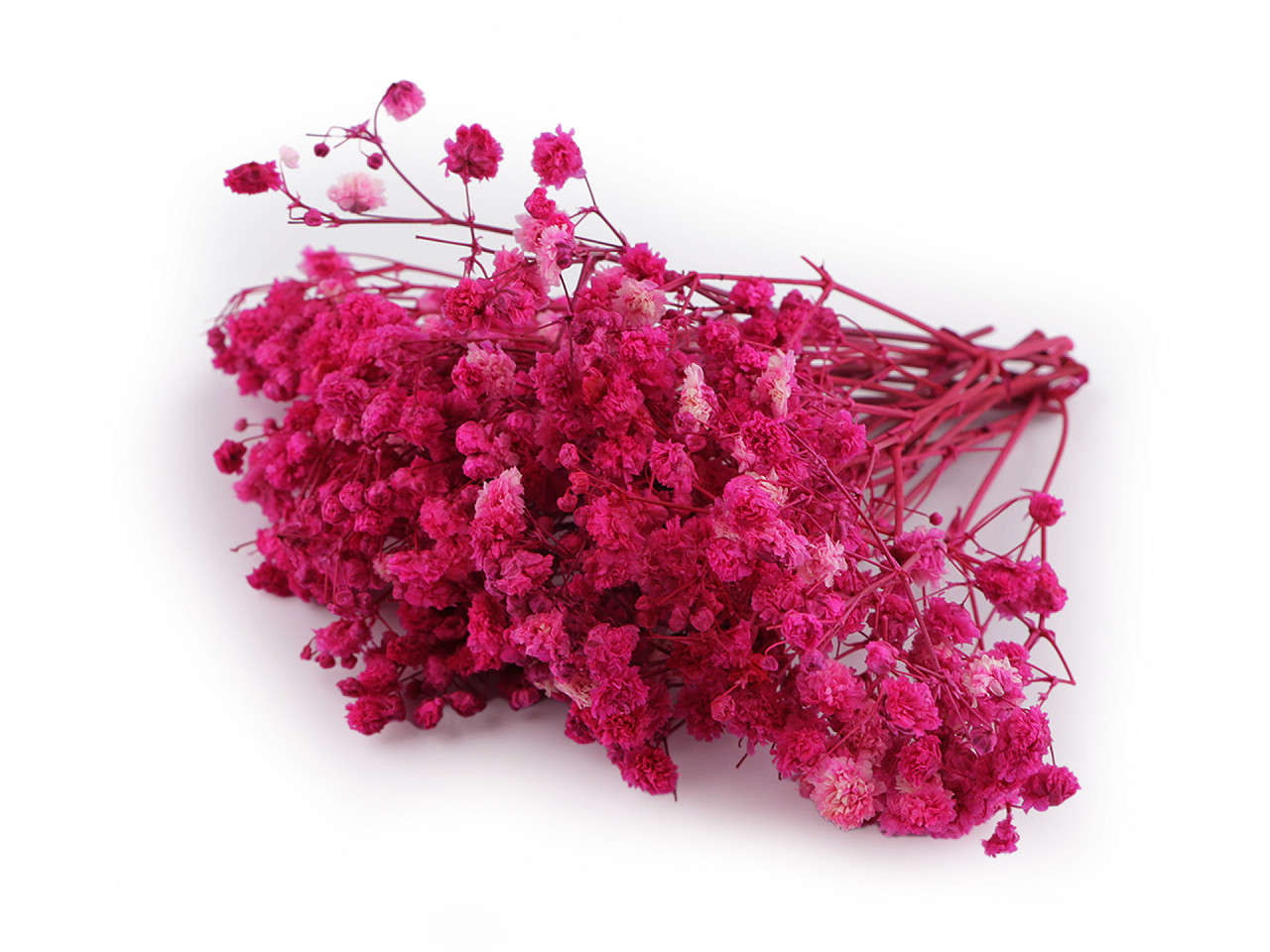 Dried / preserved baby's breath for floral arrangements - Ivory (1 Box)