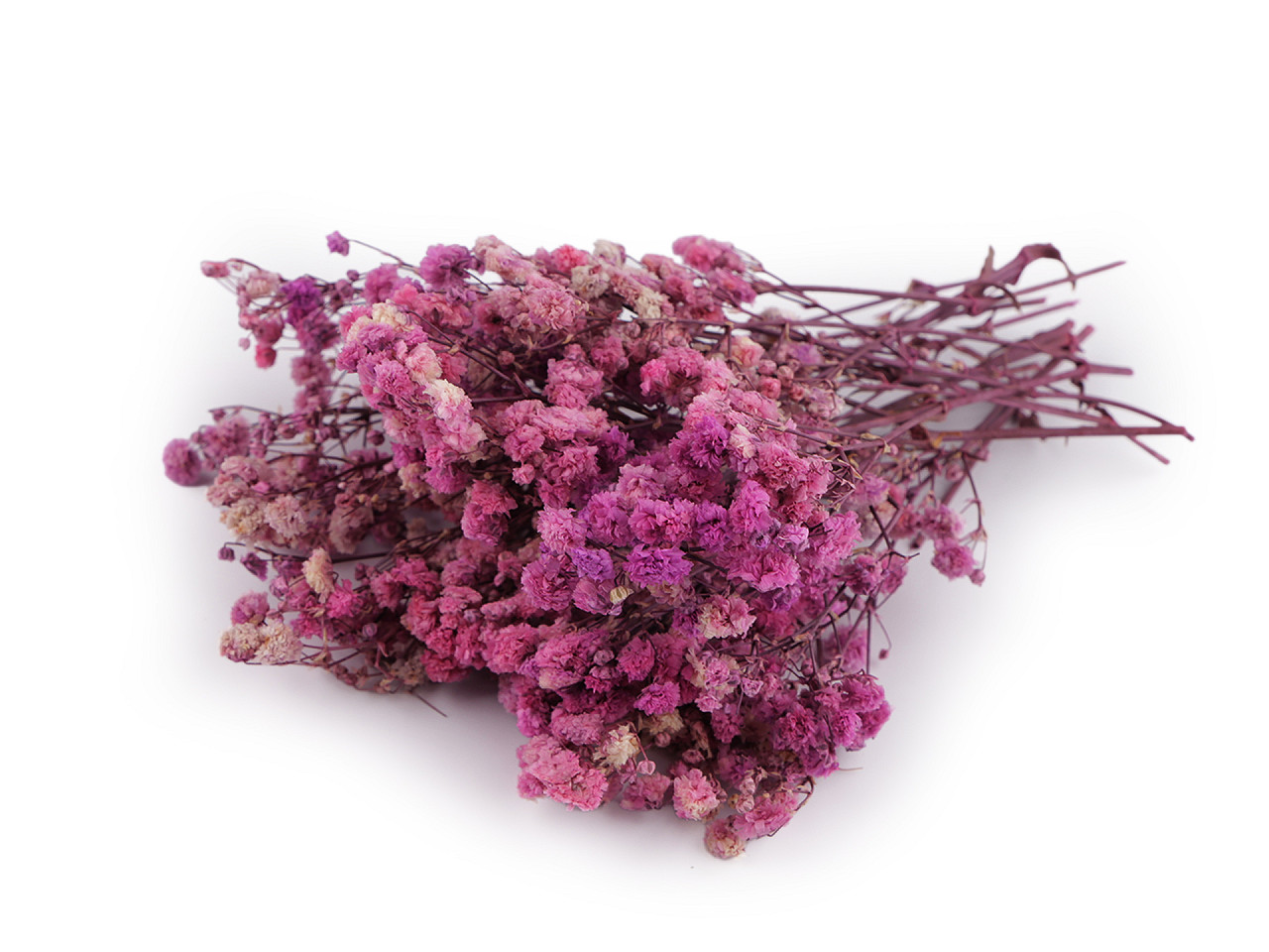 Dried / preserved baby's breath for floral arrangements - Ivory (1 Box)