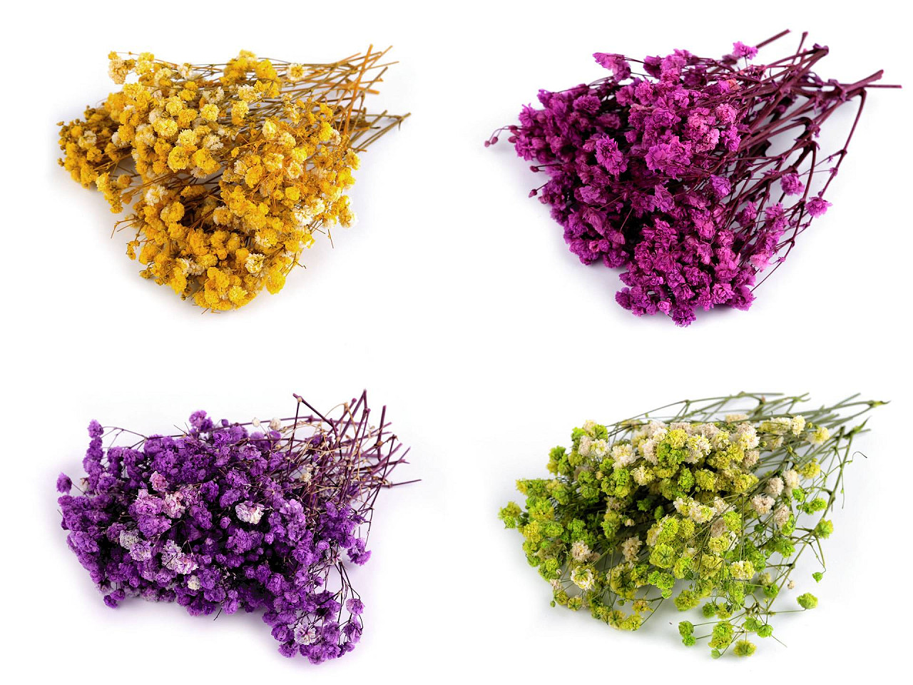 Dried / preserved baby's breath for floral arrangements - Ivory (1 Box)